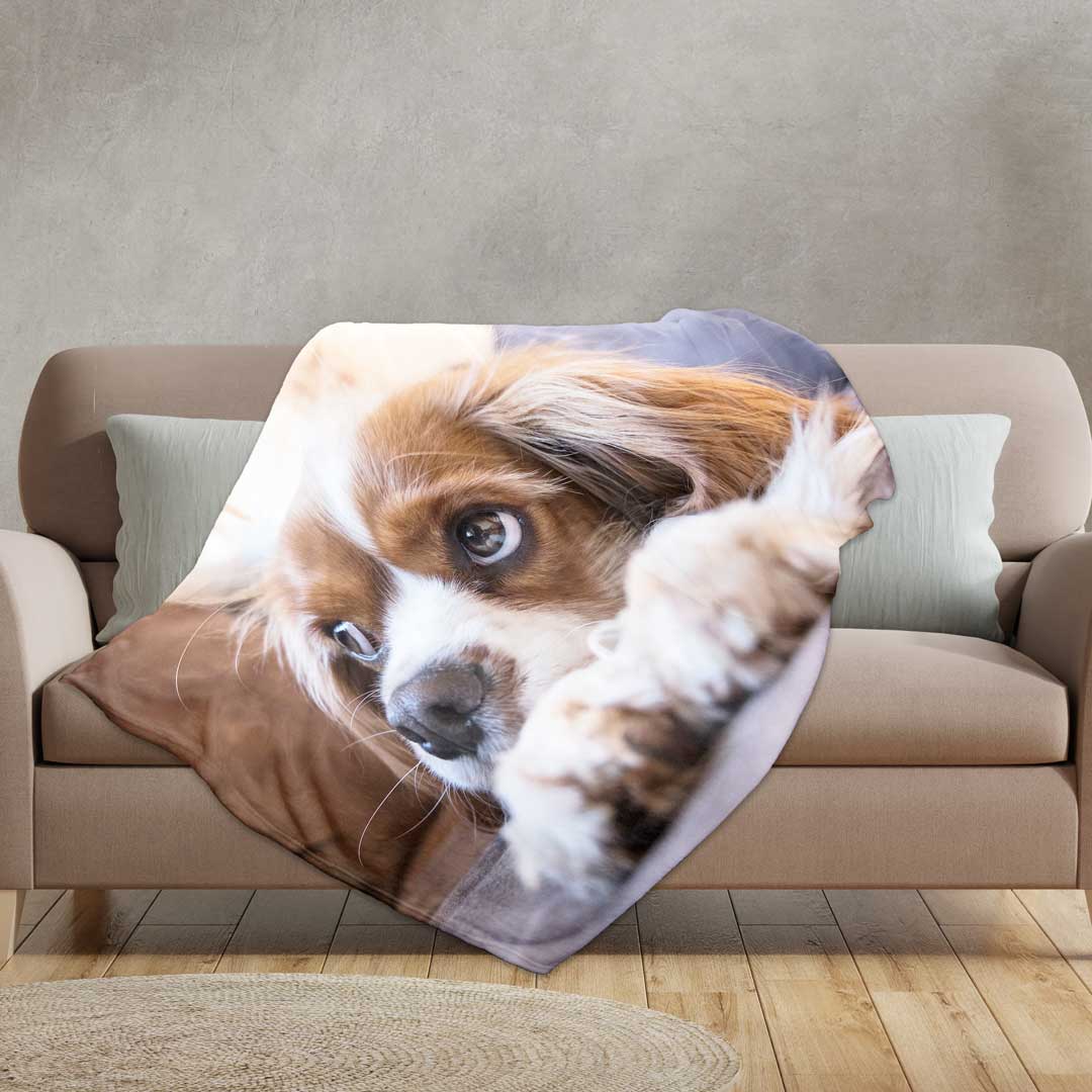 Bedruckte Fotodecke mit dem Motiv eines Hundes, ausgebreitet über einem Sofa 